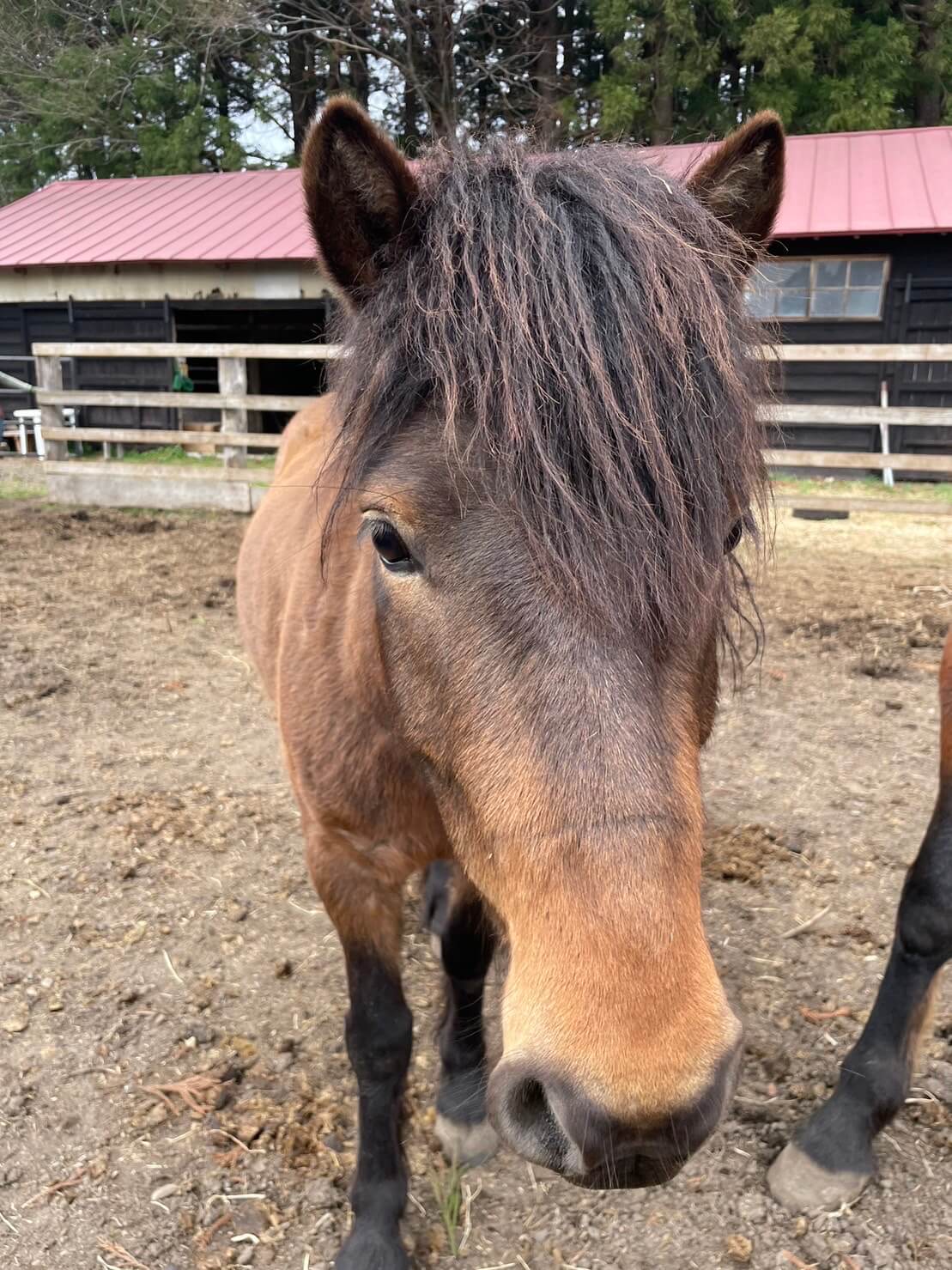 紹介写真：和馬